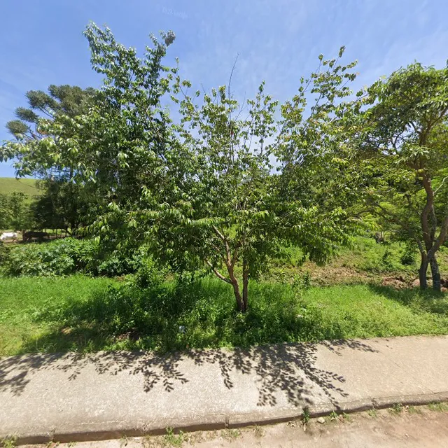 FUNDO DE QUINTAL Comida mineira