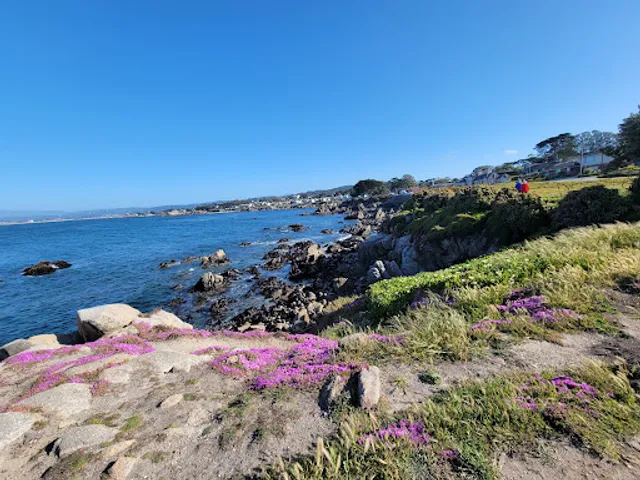 Perkins Park Vista Point