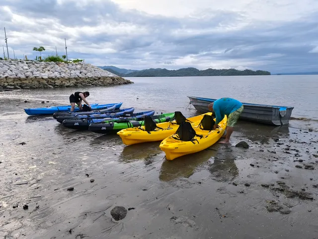 Bioluminescence Kayak Tour