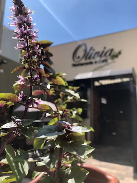 Olivia Culinária Mediterrânea | Restaurante por quilo em Taubaté