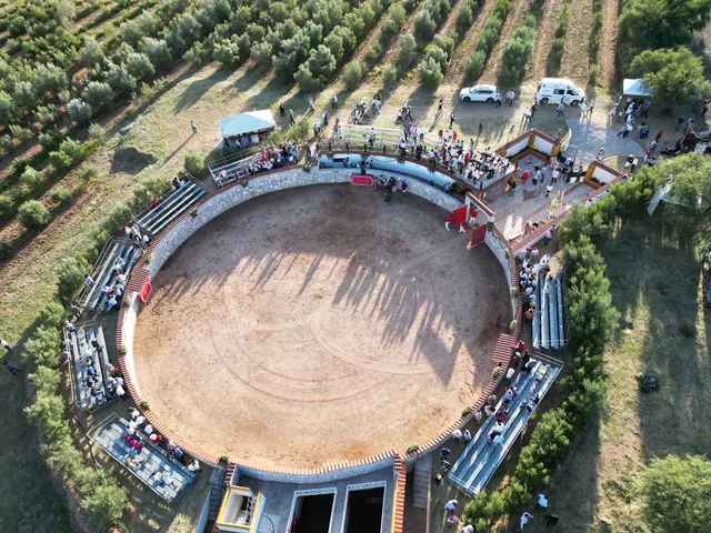 Finca Cuatro Caminos