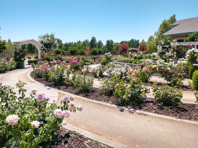 Natomas Rose Garden
