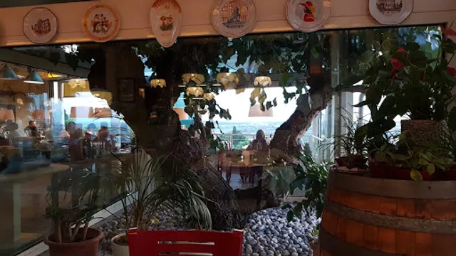 Ristorante Osteria Al Morer