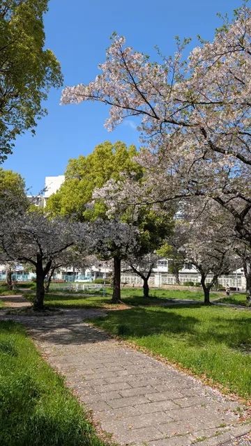 Naniwa Higashi 3 Koen Park