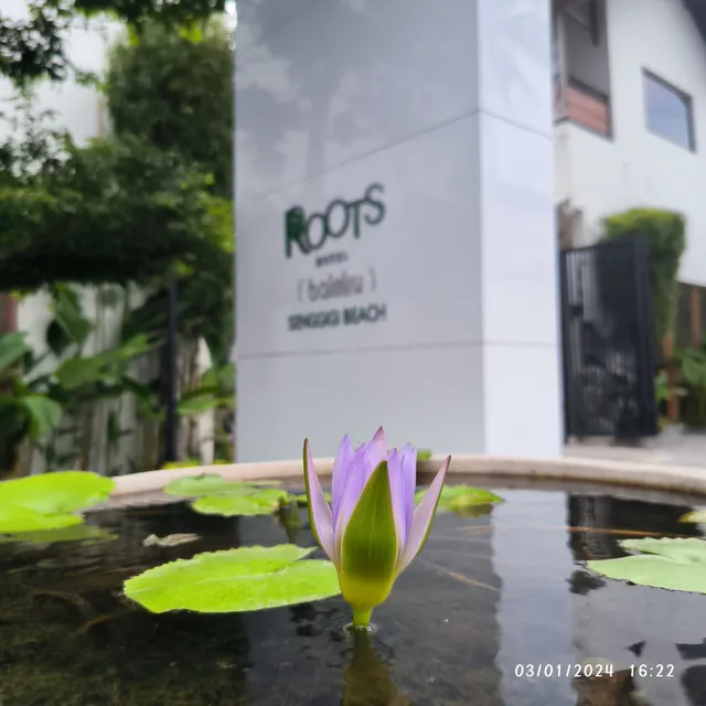 Roots Hotel Senggigi