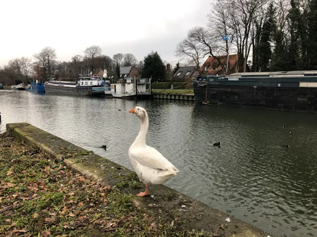 Café Den Biechtstoel - Mechelen