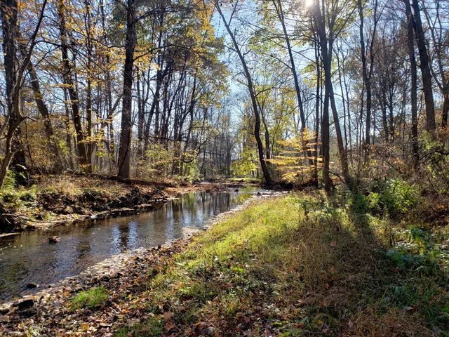 chippewa rogues hollow historical society