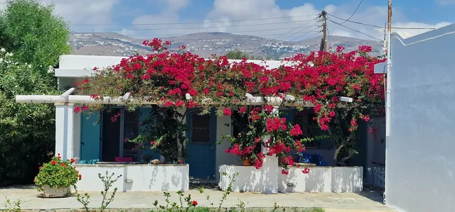 Golden Beach Studios & Suites