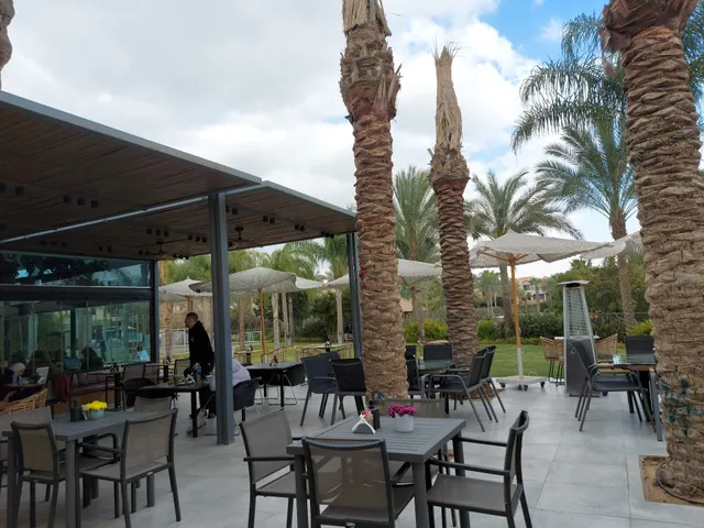 Cake Cafe - Swan Lake Katameya