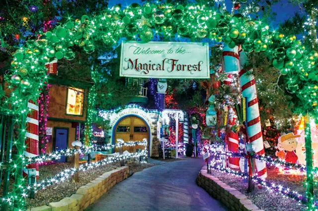 Magical Forest and HallOVeen at Opportunity Village