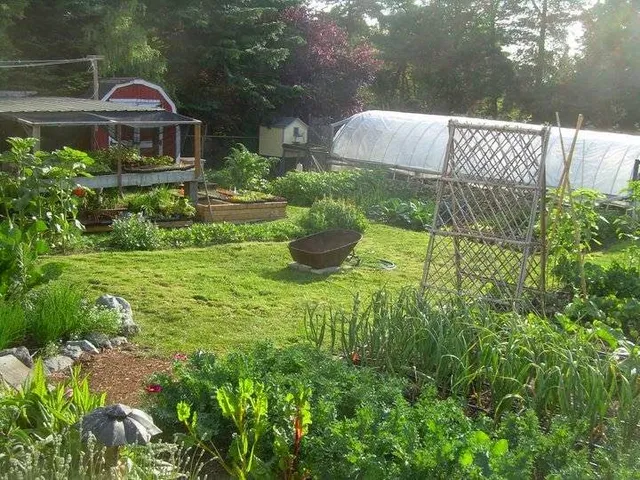 Seattle Urban Farm Company