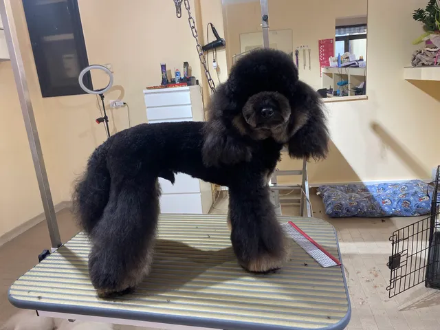 La Bottega di Marika