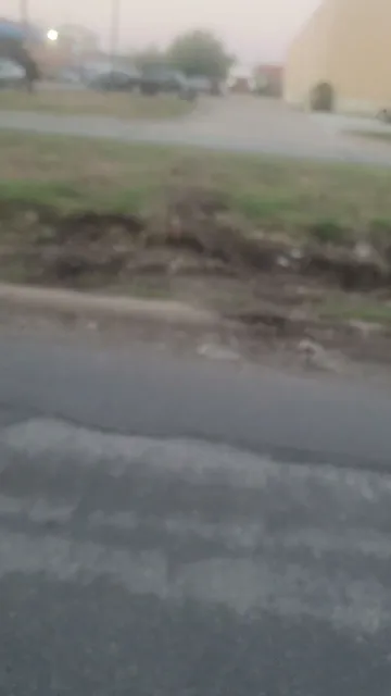 Royal Food Distributors