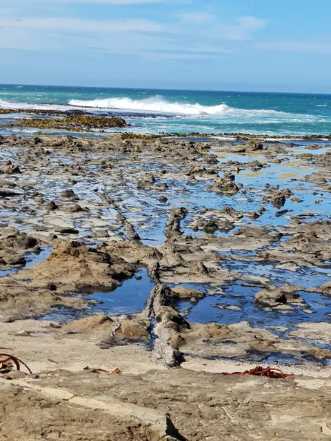 Waihopai Toetoe Community
