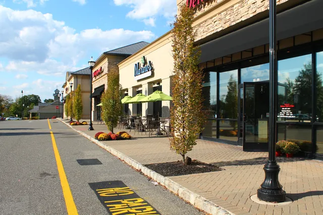 Mullica Hills Commons