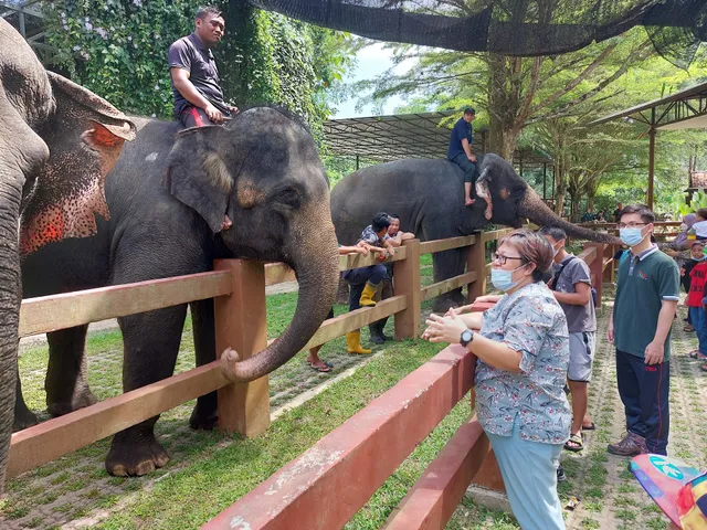 Greenleaf Angsana Homestay