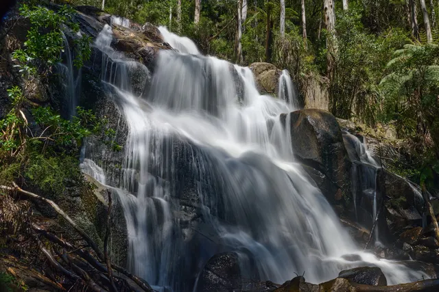 Toorongo Falls Lookout