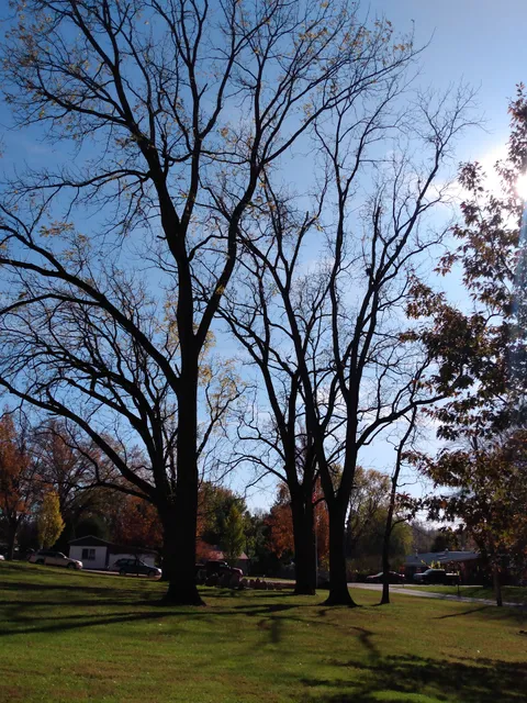 Gingrich's Food Market