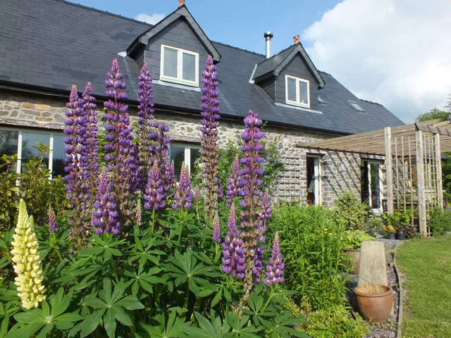 Baytree Bed & Breakfast