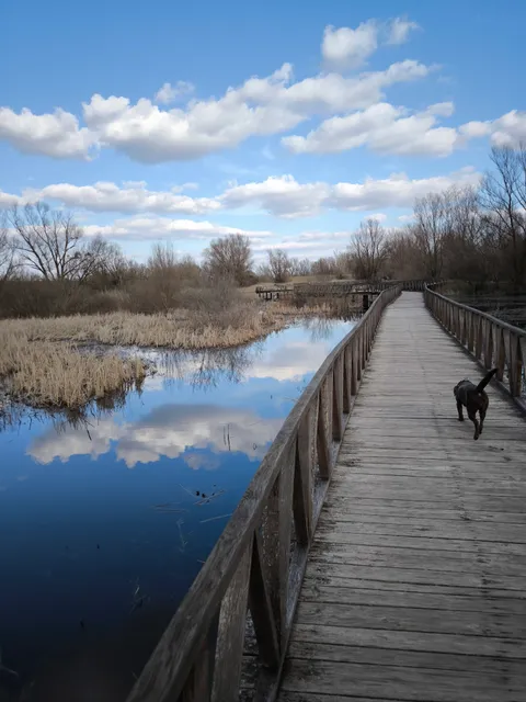 Nature Park Kopački Rit