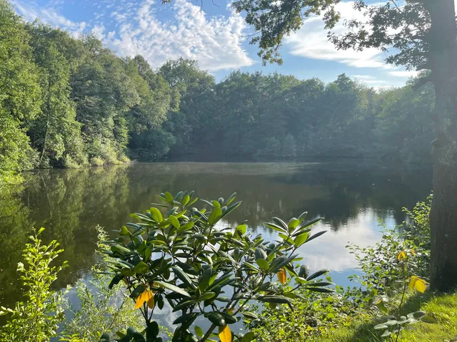 Grüner See Mühlheim