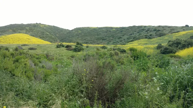 Michael & Tricia Berns Environmental Study Loop