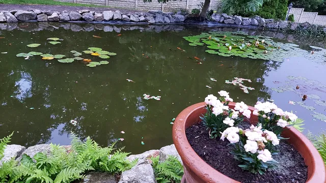 Mecsek Gyöngye Apartmanház