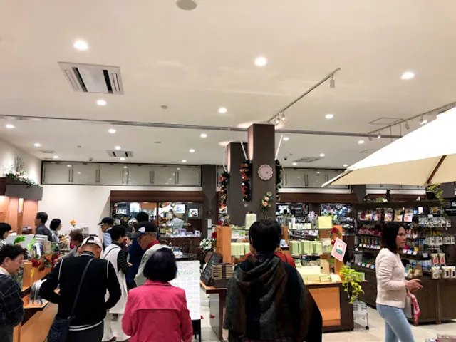 モビーグレイプ