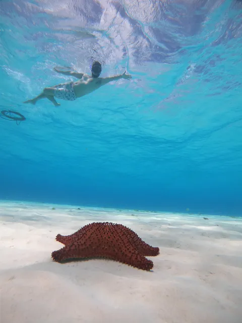 EL CIELO ES COZUMEL -@Alexander PeLoNeYtOr