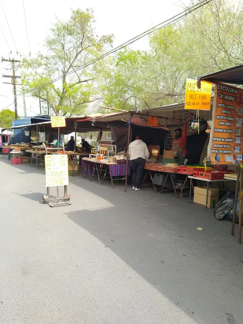 Ambulante market Josefa Ortiz Dominguez
