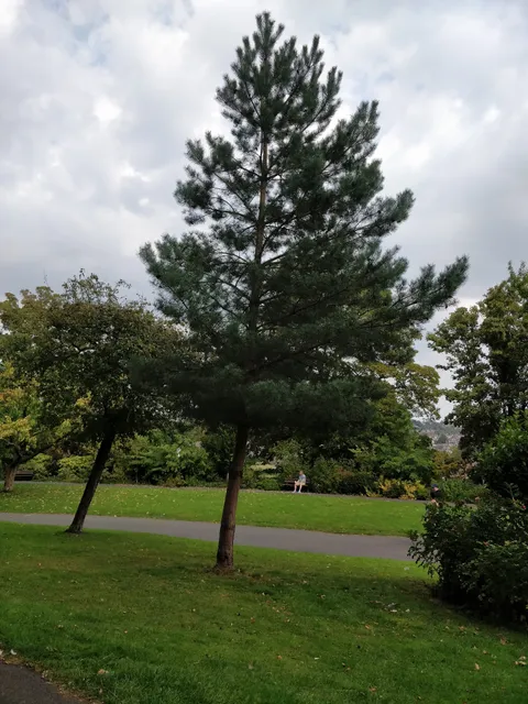 photo-1