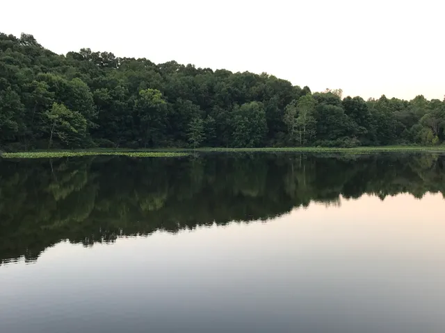 Wellston Wildlife Area