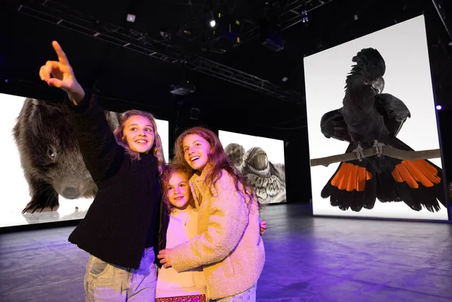 Fever Pavilion at Sydney Showground