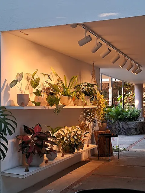 Arbô Café Botânico - Eventos