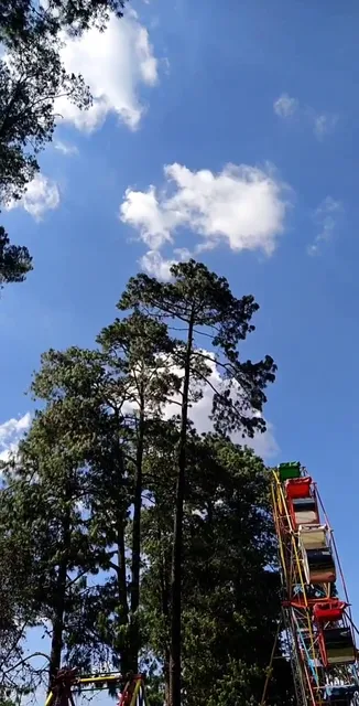 Desierto de los Leones