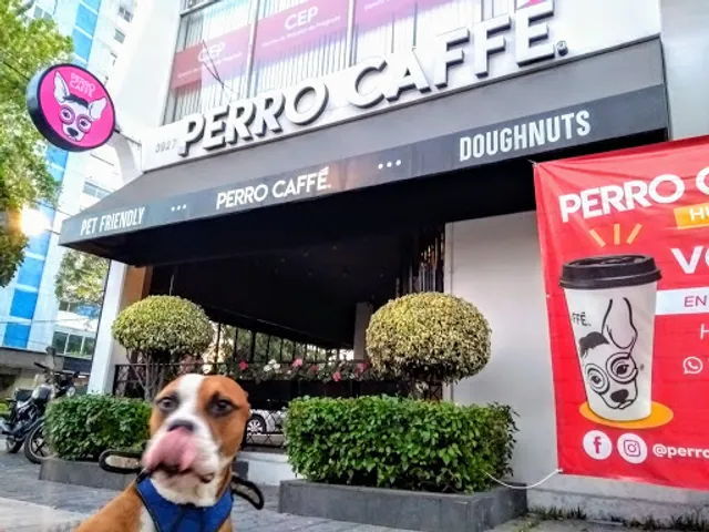 Perro Caffé