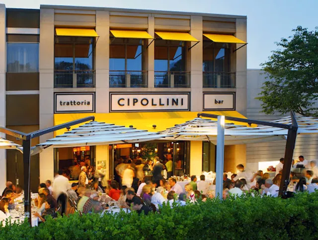 Cipollini