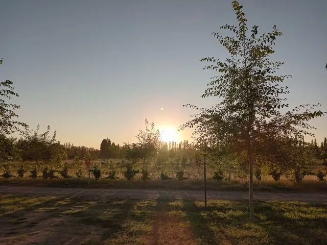 Departamento Parras del Abuelo 2