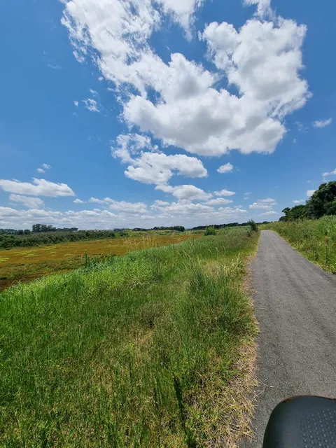 Parque Palmital Pinhais