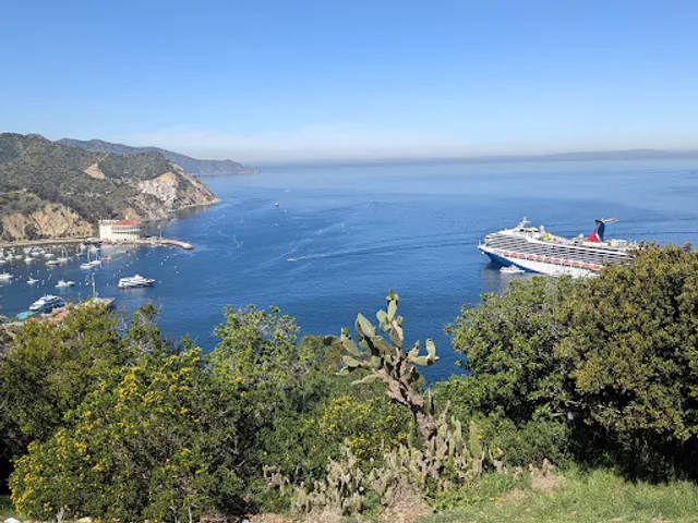 3 Palms Scenic Overlook
