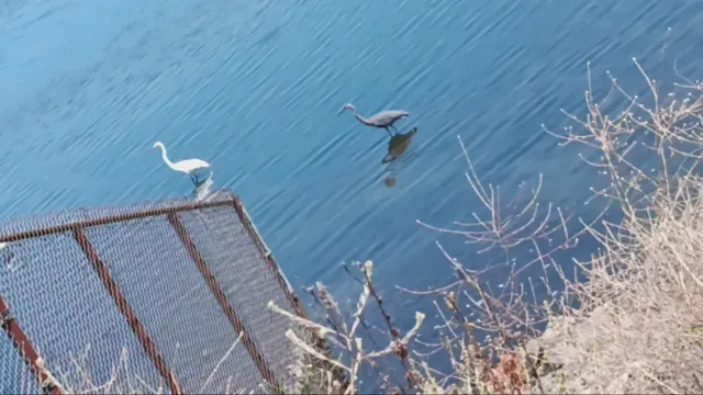 San Diego River Bike Trail