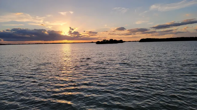 Cocoa Beach Dolphin Tours