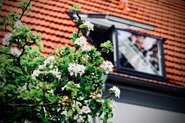 Löwenherz Appartements