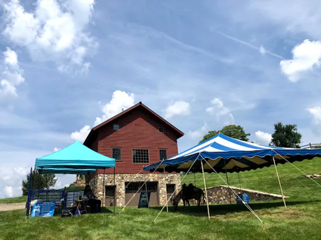 The Friendly Farmyard Traveling Pony & Petting Zoo