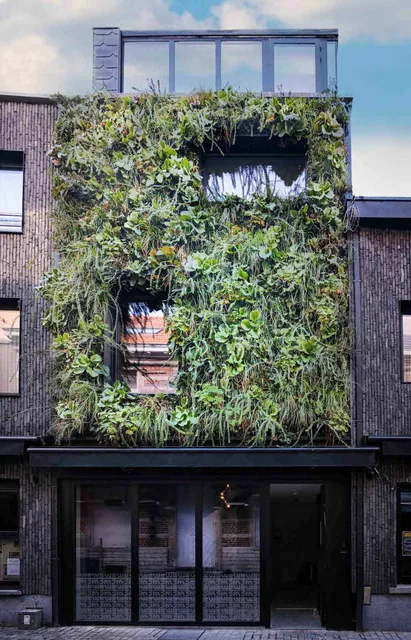 M-Street art lodging