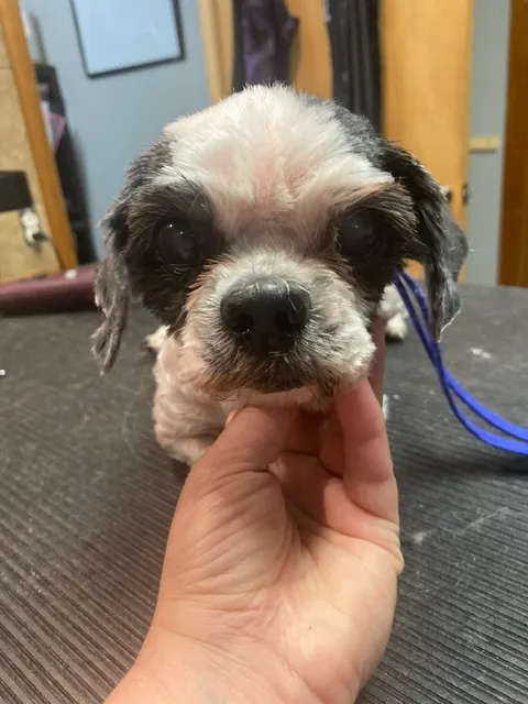 Hoisington Veterinary Hospital