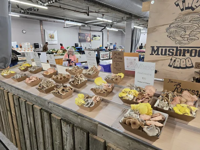 Stratford Rotary Complex