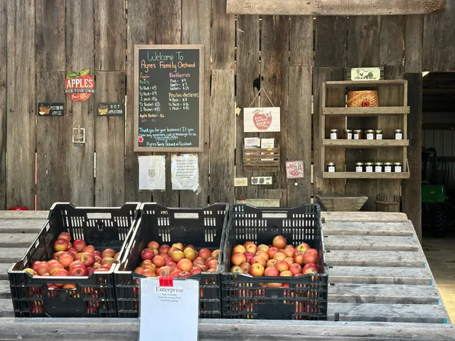 Ayres Family Orchard