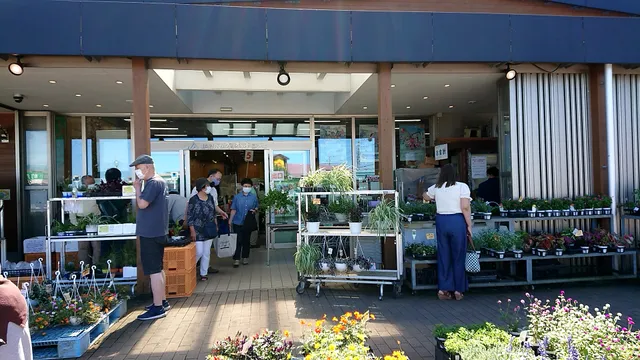 ＪＡさがみ わいわい市 藤沢店