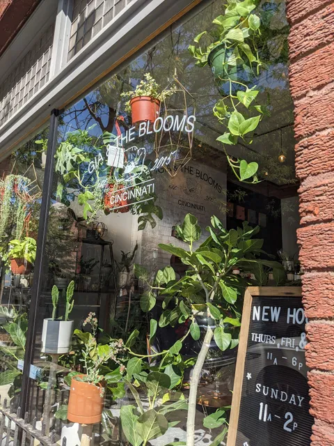 Gia and the Blooms -OTR